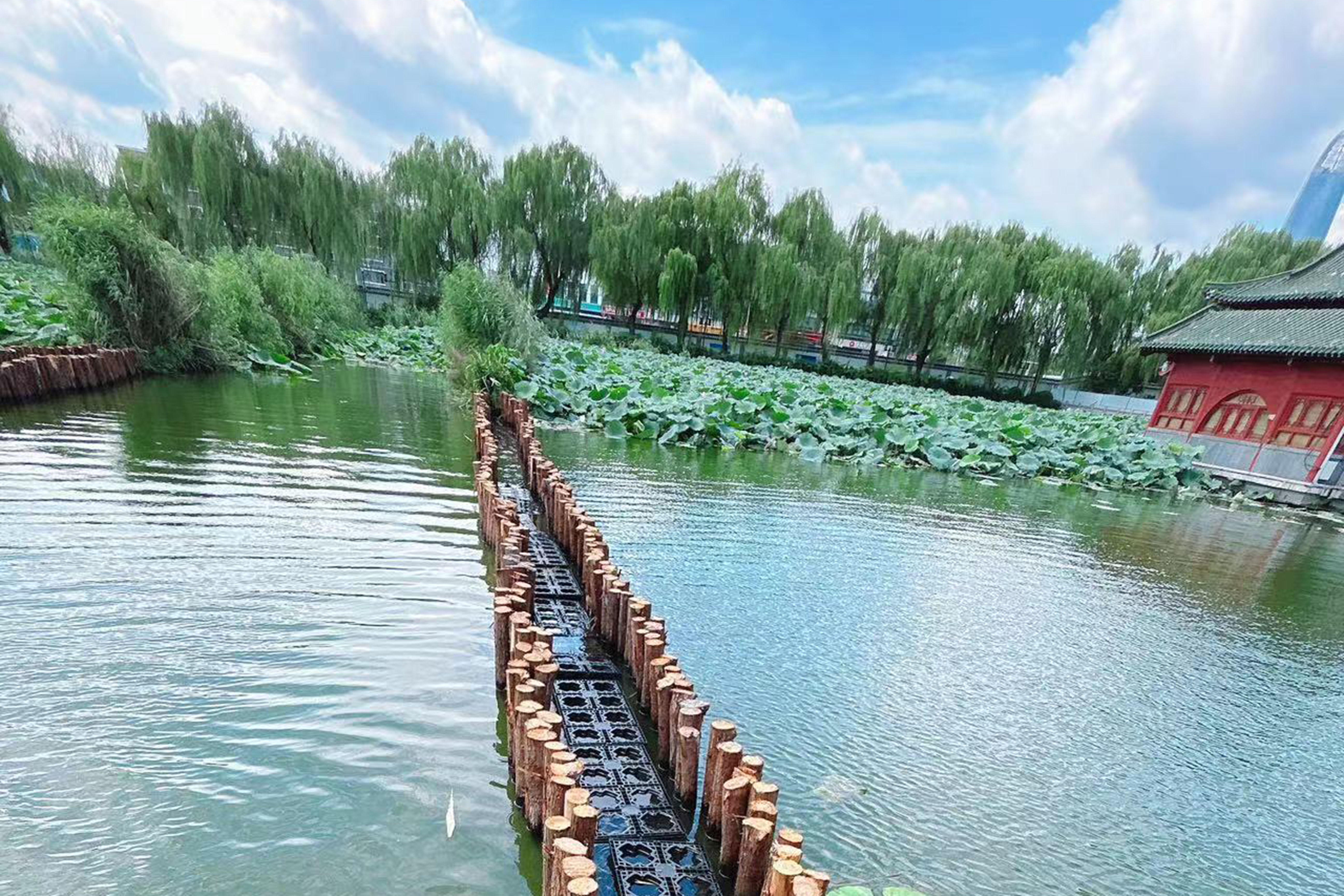 1723595534841.png 數字1—大明湖項目現場.png